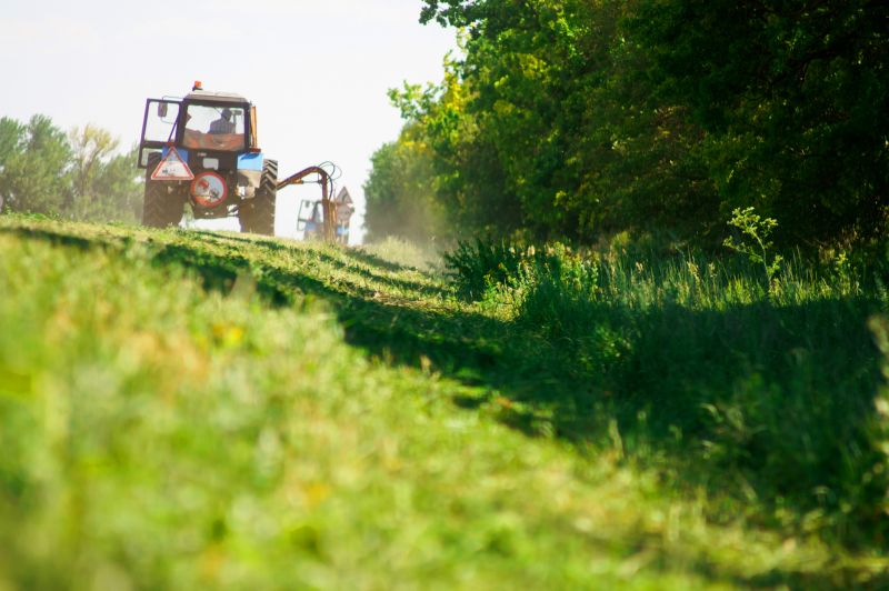 Acreage Clearing in Gwinnett County, GA