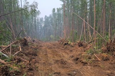 Parking Lot Land Clearing in Cumming, GA