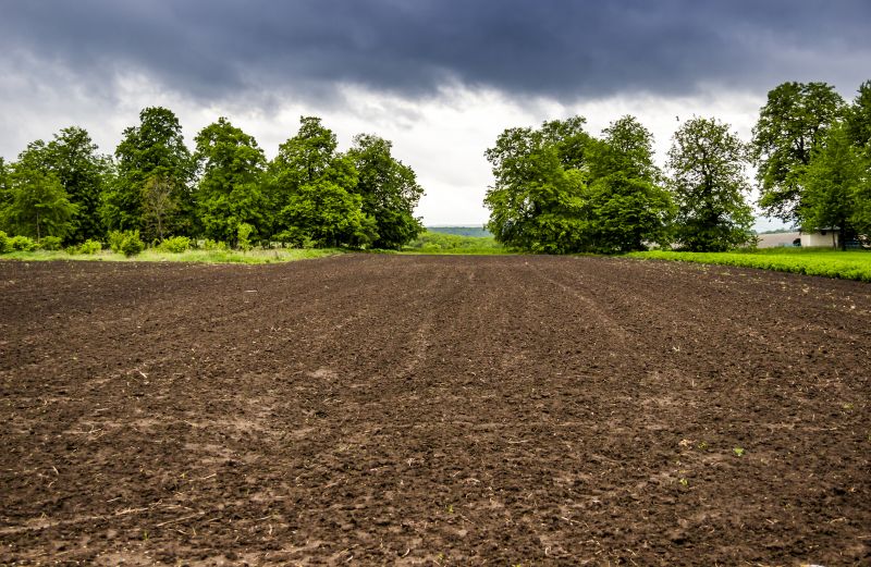 Terrain Clearing in Cumming, GA