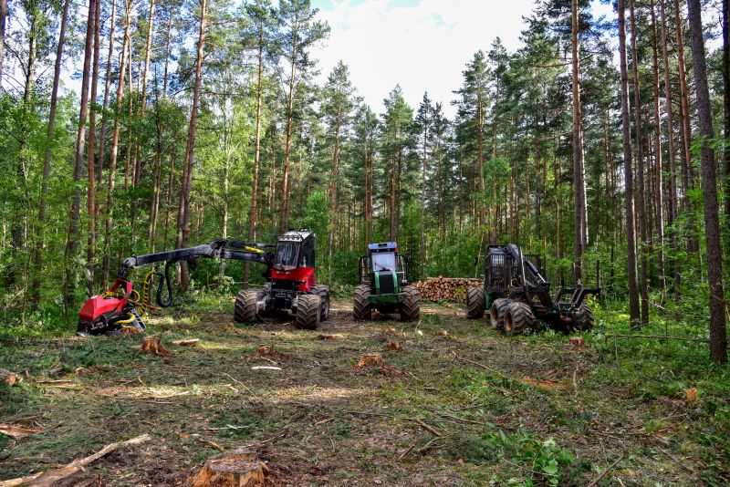 Trees Clearing in Gwinnett County, GA