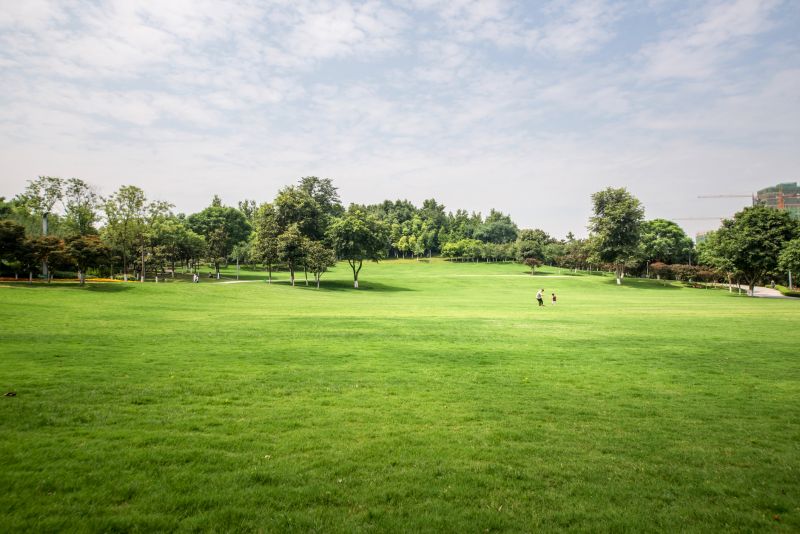 Improve Land Usability!